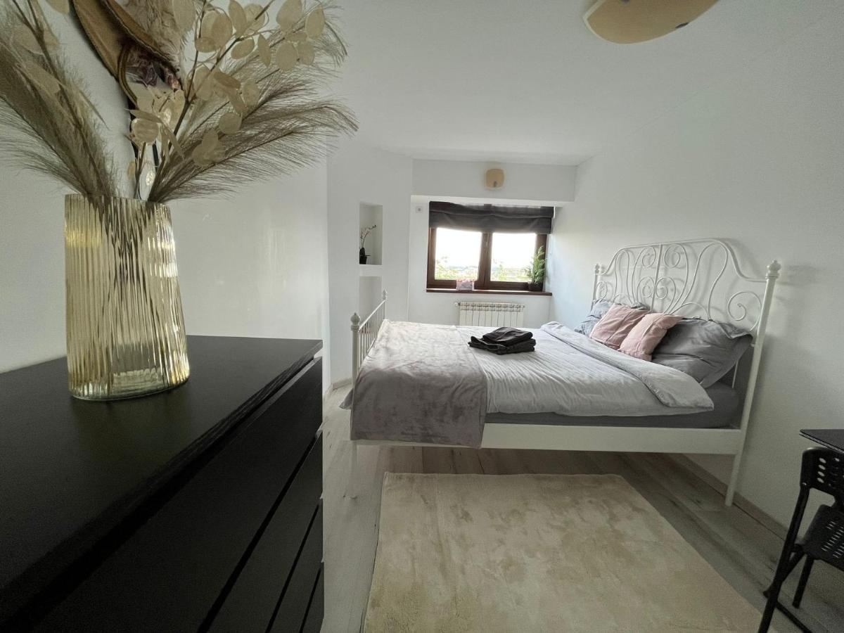 City Center Privat-Sauna Familyconcept Iasi Bagian luar foto