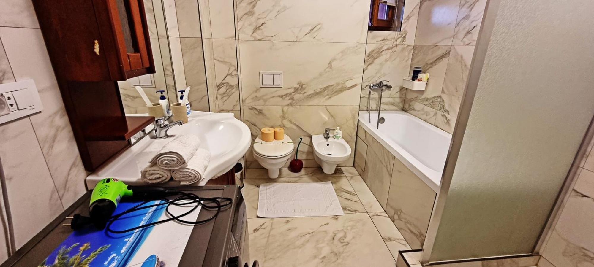 City Center Privat-Sauna Familyconcept Iasi Bagian luar foto